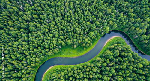 Meandering River Winding Through Dense Green Taiga Forest and Conifer Trees, Top Down Aerial View