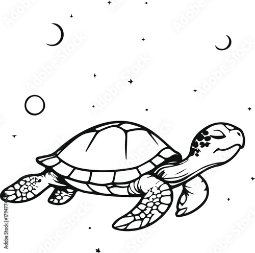  Cosmic turtle floating in space, surrounded by minimal stars and planets, spiritual and meditative design 1