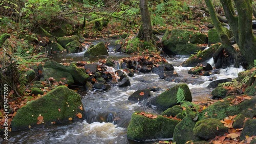 Autumn woodland and cascading water at Wyming Brook in the Derbyshire, Peak District National Park.