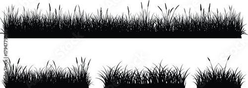 Wild tall grass silhouettes set, detailed meadow reeds border collection, isolated black overgrown foliage vector graphic, natural nature growth elements