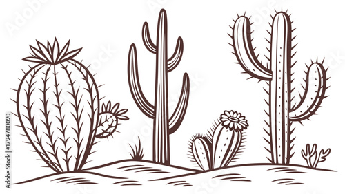 Detailed Line Art Cacti Illustration Set for Desert Landscape Design Western Branding Nature Web Elements and Print