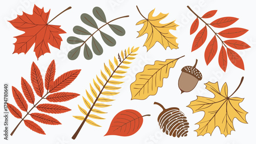 Vibrant Autumn Leaves Acorns Pinecone Collection. Colorful Fall Foliage Elements for Seasonal Web Design, Marketing, and Craft Projects. Cozy Decor.
