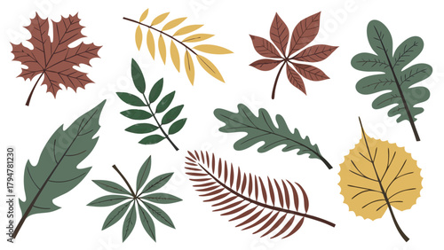 Colorful Vector Autumn Leaves Collection for Fall Season Web Design Marketing Promotions and Nature Inspired Backgrounds