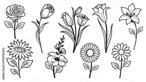 Flower Line Art Outline Vector Illustration Set. Hand Drawn Botanical Floral Sketch Elements for Graphic Design, Web, Print, Branding, Crafts, Coloring Pages