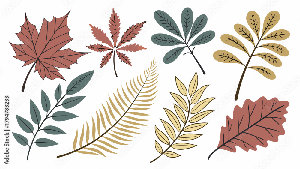 Fototapeta premium Vibrant Autumn Leaves Collection Vector Illustration Set Fall Foliage Design Elements for Seasonal Marketing Web Design and Nature Projects