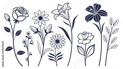 Clean Line Art Floral Illustrations for Modern Web Design Branding Invitations and Nature Inspired Marketing Graphics