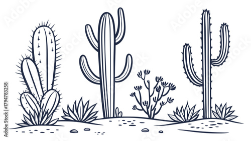 Desert Cacti and Succulents Line Art Illustration for Botanical Web Design Nature Education Southwest Decor and Branding