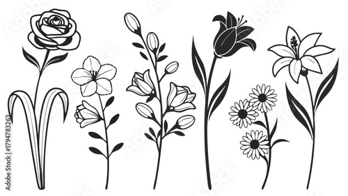 Floral Line Art Illustrations Set Black and White Botanical Outline Vector for Web Design Branding Invitations and Graphic Projects