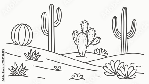 Minimalist Desert Landscape Line Art with Cacti and Succulents. Arid Environment Outline Illustration for Kids Education, Web Design, Apps, Travel.