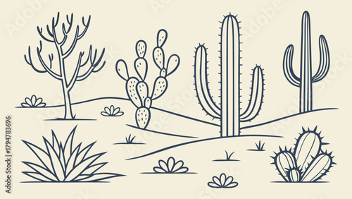 Desert Landscape Vector Outline Illustration with Cacti and Succulents for Web Design, Nature Education, and Travel