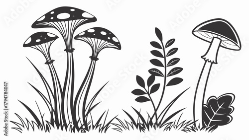 Whimsical Black and White Mushrooms and Forest Plants Line Art Illustration for Kids Books, Fairy Tales, and Nature Themes