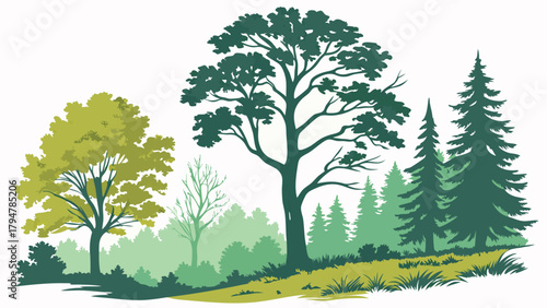 Lush Vibrant Green Forest Trees and Woodland Path Vector Illustration Nature Ecology Environment Conservation Outdoor Park and Sustainable Design