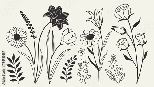 Elegant Botanical Line Art Flower and Leaf Collection Hand Drawn Floral Elements for Graphic Design Branding Web Invitations Packaging and Stationery Spring Summer Nature