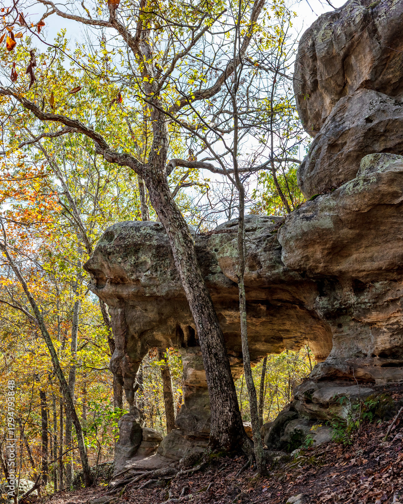 Obraz premium Double arch rock formation along the Trail Through Time hiking path at the Pickle Springs Natural Area in New Offenburg, MO close to Hawn State Park