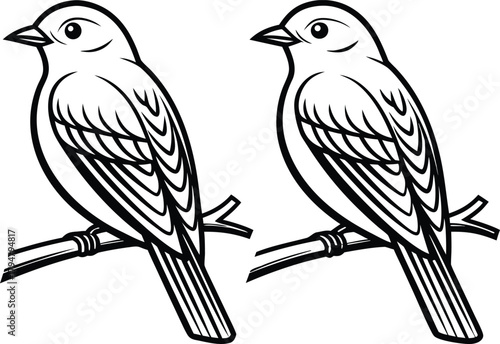 Dual Birds Illustration Set. Pair of Birds Artwork. Twin Birds Outline Collection. Two Birds Line Art. Bird Couple Design Set. Birds Pair Graphic Pack. Birds Duo Outline Art. Elegant Birds Pair Draw