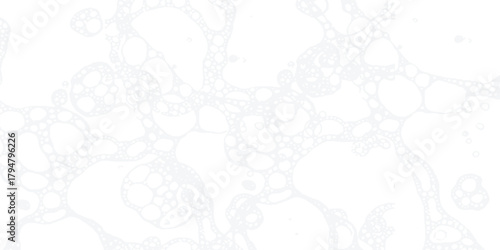 Clean Abstract Bubble Photo: A calming, seamless backdrop with luminous white and ethereal shapes, perfect for serene design, soothing websites, and light themed projects