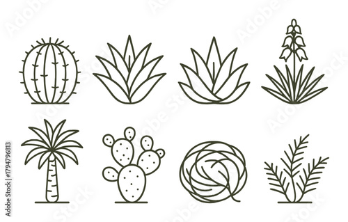 Variety of desert plants: cactus, agave, palm, tumbleweed, yucca, aloe