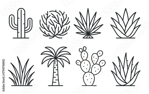 Collection of minimalist cactus and succulent line art icons