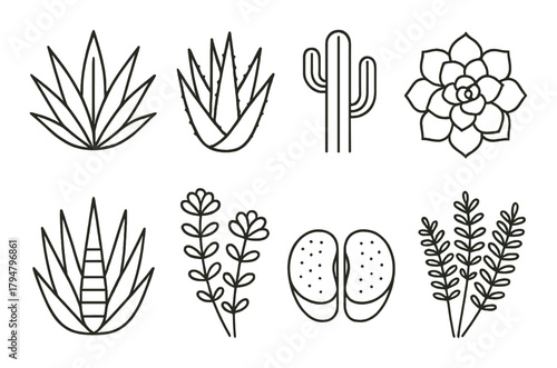 Set of black outline succulent and cactus icons on olive background