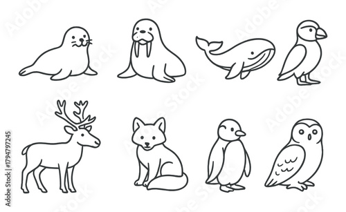 Cartoon arctic animals collection including walrus, seal, whale, penguin, and owl