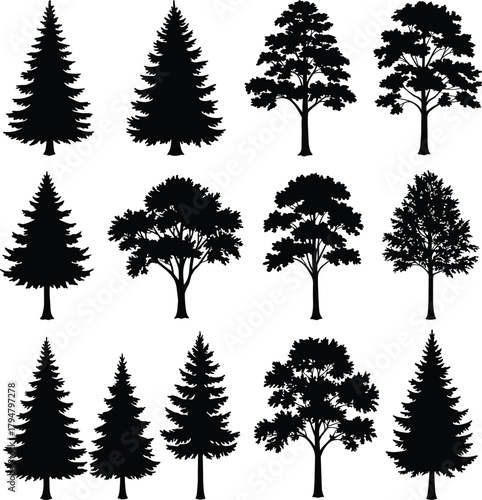 Tree silhouette collection, forest shapes, botanical diversity, nature icons, coniferous and deciduous trees, foliage forms, woodland elements, vector set