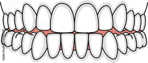 A flat vector illustration depicting the upper and lower dental arches with white teeth and pink gums, showing a Class I occlusal relationship.