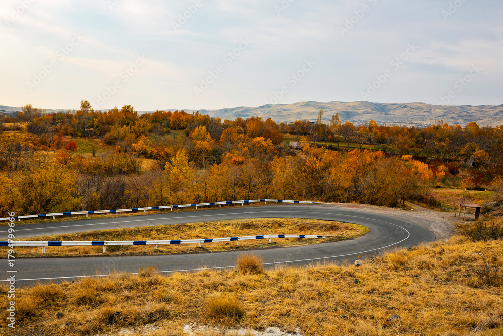 Fototapeta premium A curvy road with a lot of trees and a few cars