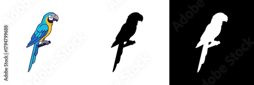 A striking blue-and-yellow macaw sits on a branch, displayed in full color, dark silhouette, and white silhouette for versatile graphic use.