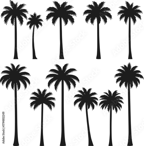 Palm tree silhouettes, tropical foliage set, beach icons, exotic plants, summer nature shapes, jungle elements, vector palm grid