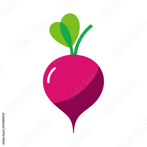 vector illustration of a red apple