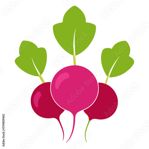 red radish isolated on white