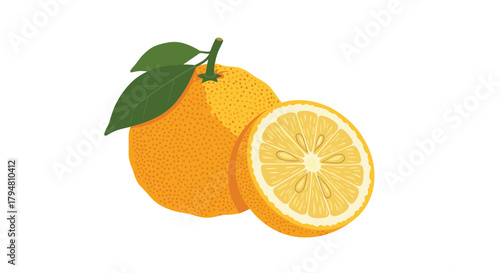 A bright orange citrus fruit with green leaves next to a juicy slice of the same fruit.