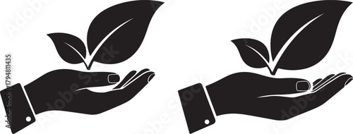 Hands holding growing leaves silhouette