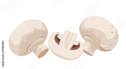 A detailed look at the common button mushroom and its culinary applications.