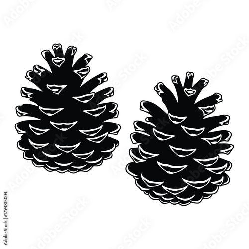 Pair of pine cones natural forest elements for autumn and winter designs perfect for rustic decorations, crafts, and seasonal projects