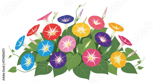 A vibrant cluster of morning glory flowers in various bright colors.