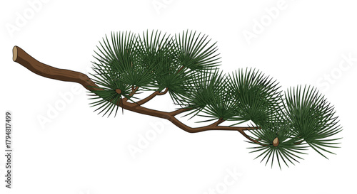 A detailed illustration of a pine tree branch with dense green needles and a rough brown trunk.