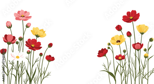 Vibrant wildflowers in full bloom on a bright summer day in a meadow.