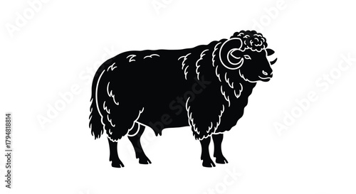 Black sheep with curly horns standing on a white background in a silhouette