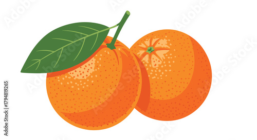 A juicy pair of fresh oranges with green leaves and stem on a white background.