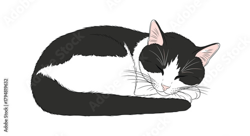 A peaceful black and white cat curled up sleeping soundly in its cozy bed.