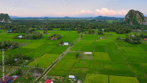 Obraz na plátně Aerial view of a ricefield and villas in Kampot , Cambodia