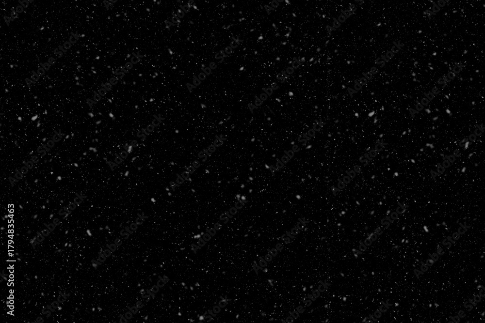 Obraz premium Realistic Falling Snowflakes or White Dust Particles on Black Background as an Overlay Effect or Winter Texture for Digital Composite