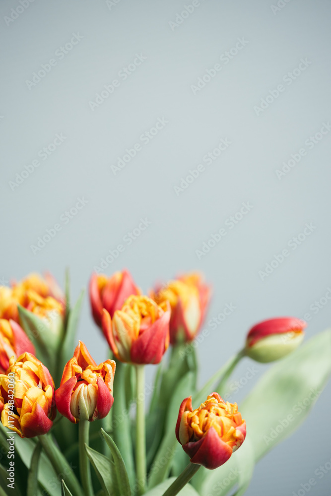 image to crop