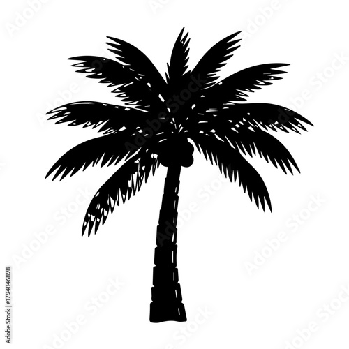 Silhouette of a tropical palm tree with coconuts against a white background, perfect for travel and beach themes