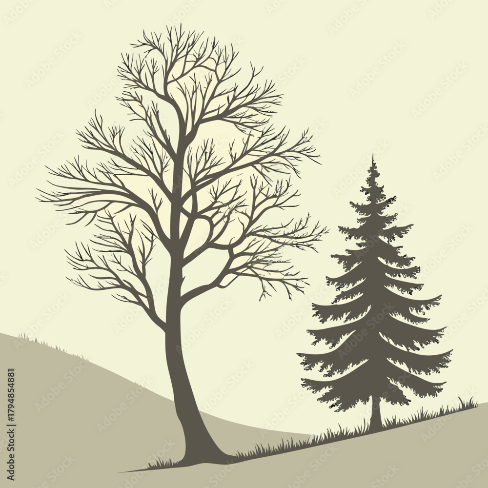 Fototapeta premium Bare tree and evergreen tree silhouette on hill in winter landscape