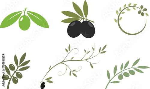 olive branch with olives