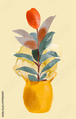 Watercolor illustration of a variegated rubber plant in a yellow pot