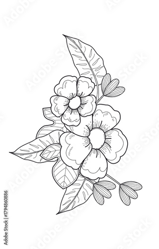 Hand drawn botanical illustration of a delicate flower cluster with leaves