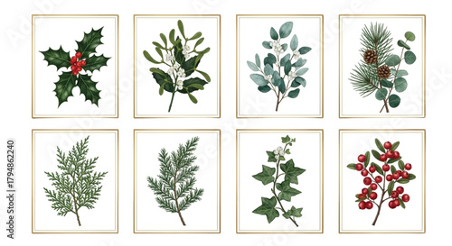 Watercolor Christmas Botanical Set – Holly, Mistletoe, Pine & Winter Greens
